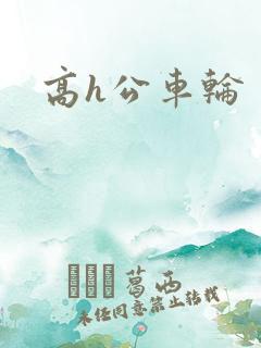 高h公车轮