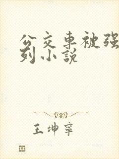 公交车被强d系列小说