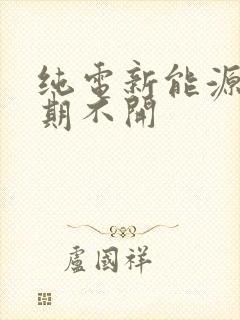 纯电新能源车长期不开