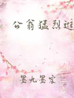 公翁猛烈进出H