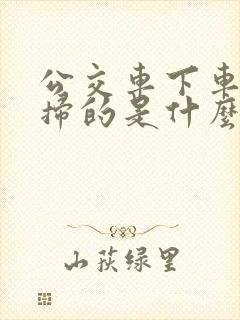 公交车下车扫码扫的是什么码