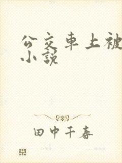 公交车上被轮干小说