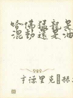 哈佛猛龙是插电混动还是油电混动