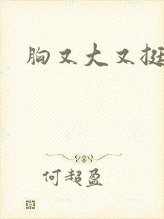 胸又大又挺小说