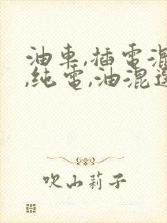 油车,插电混动,纯电,油混选哪个好