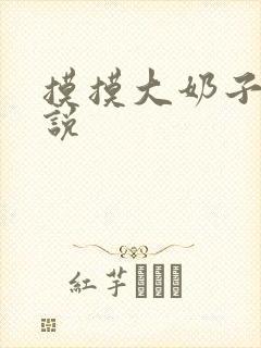 摸摸大奶子的小说