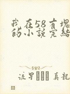 我在58有块田的小说完结