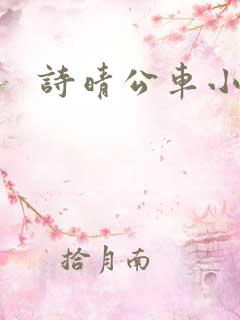 诗晴公车小说