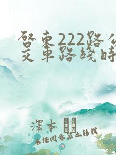 启东222路公交车路线时间表