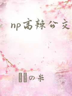 np高辣公交车