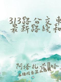 313路公交车最新路线和时间