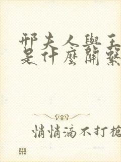 邢夫人与王夫人是什么关系