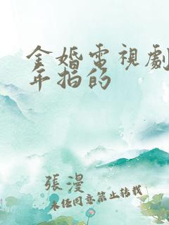 金婚电视剧是哪年拍的