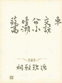 苏晴公交车被弄高潮小说