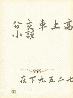 公交车上高潮的小说
