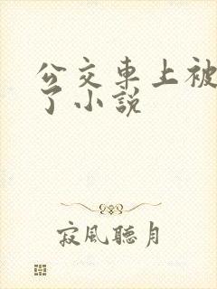 公交车上被乱操了小说