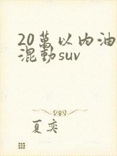 20万以内油电混动suv