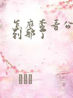 怎么查看公交车到那了