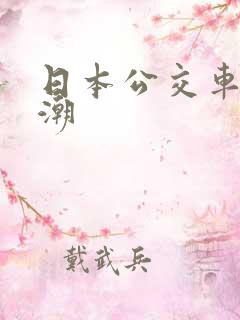 日本公交车上高潮