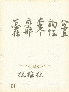 怎么查询公交车在哪个位置
