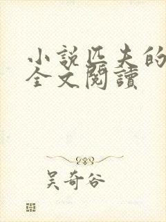 小说匹夫的逆袭全文阅读