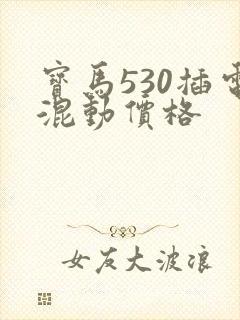 宝马530插电混动价格