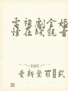 电视剧金婚风雨情在线观看