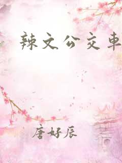 辣文公交车短篇