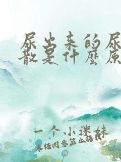 尿出来的尿泡不散是什么原因