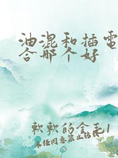 油混和插电式混合哪个好