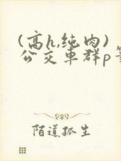 (高h,纯肉)公交车群p笔趣阁