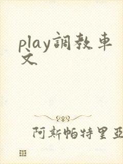 play调教车文