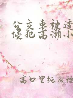 公交车被透明人侵犯高潮小说