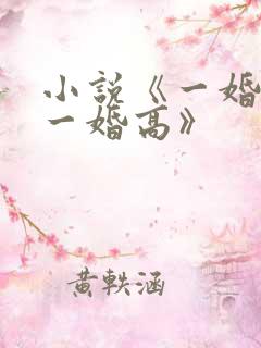 小说《一婚还比一婚高》