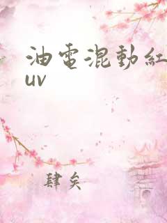 油电混动红旗suv