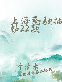 上海飞驰插电混动22款