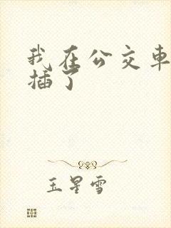 我在公交车上被插了