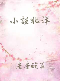 小说北洋