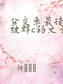公交车最后一排被群c的文章