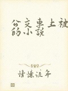 公交车上被玩弄的小说