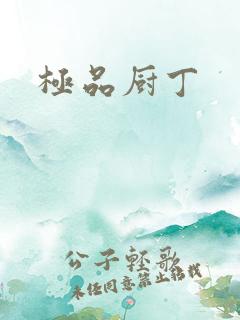 极品厨丁