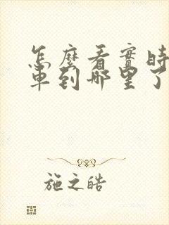 怎么看实时公交车到哪里了