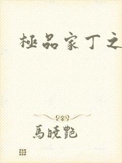 极品家丁之玉