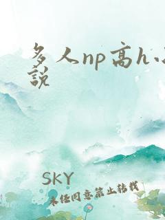 多人np高h小说