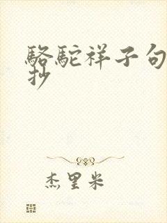 骆驼祥子句段摘抄