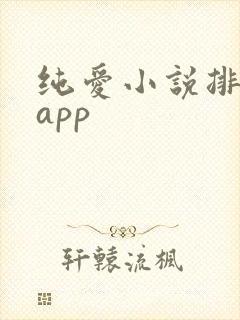 纯爱小说排行榜app