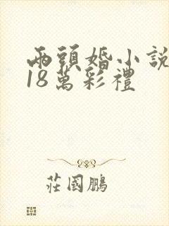 两头婚小说沈念18万彩礼