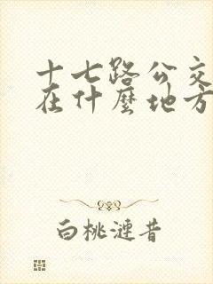十七路公交车站在什么地方