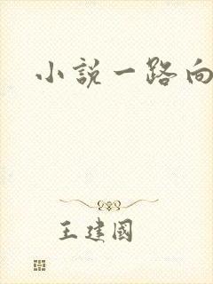 小说一路向西