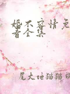 婚不容情免费观看全集
